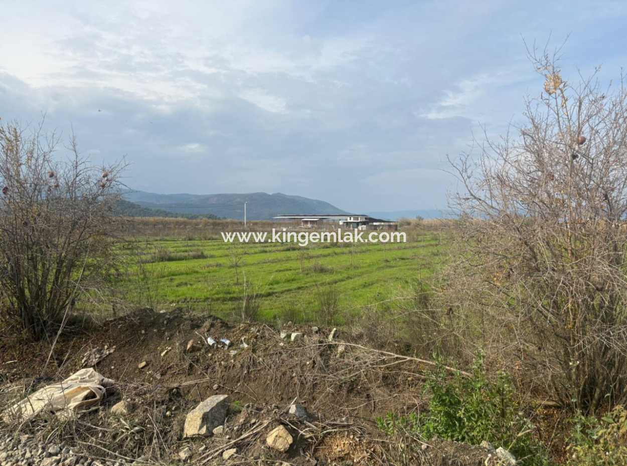 Field Land For Sale In Tepearası