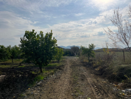 Field Land For Sale In Tepearası