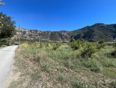 Lovely Field Plot In Arik Bası