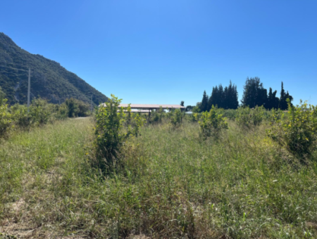 Lovely Field Plot In Arik Bası