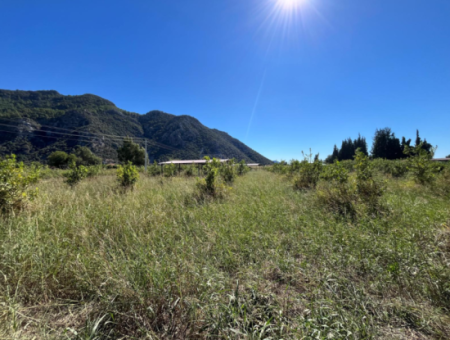 Lovely Field Plot In Arik Bası