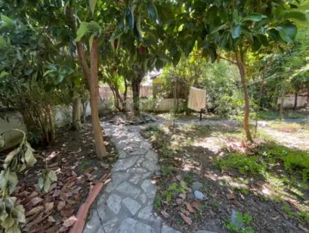 Woodland Home In Dalyan