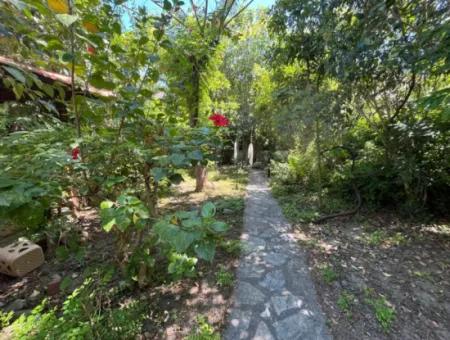 Woodland Home In Dalyan