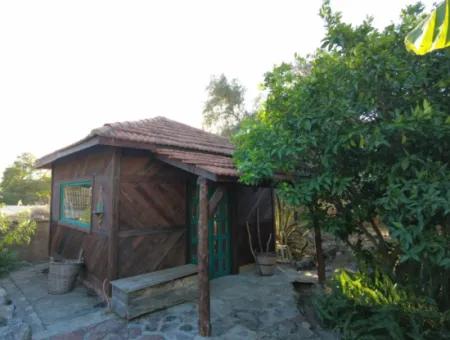 Rustic Private Bungalow