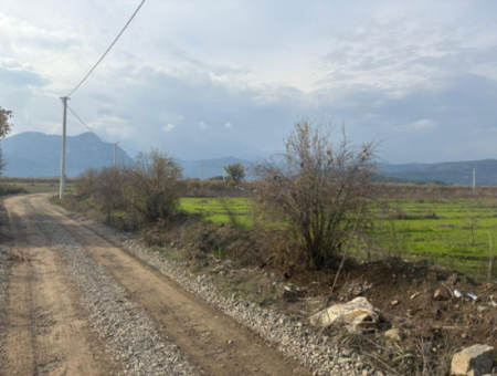 Field Land For Sale In Tepearası