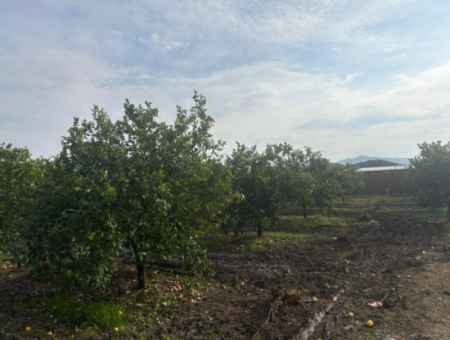 Field Land For Sale In Tepearası