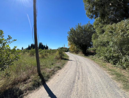 Lovely Field Plot In Arik Bası